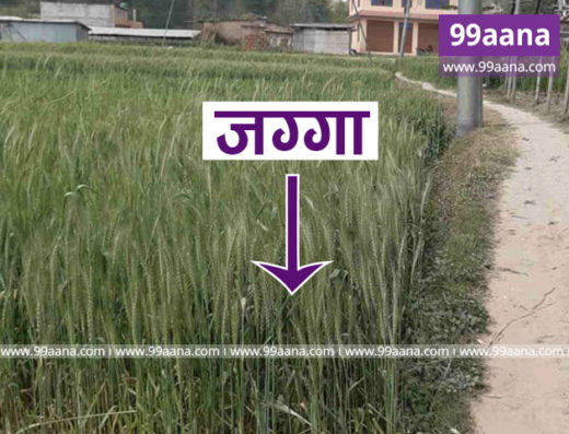Land For Sale at Chhaling, Bhaktapur