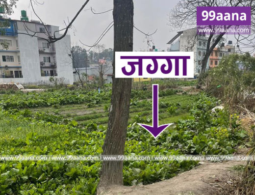 Land for sale at Thimi, Bhaktapur