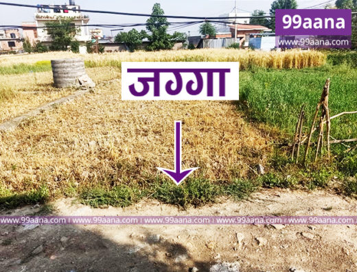 Land for sale at Sirutar, Bhaktapur