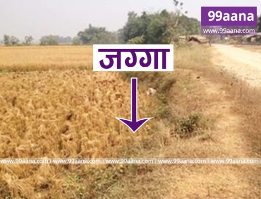 Land for sale at Kolhabi Nagarpalika-5, Bara