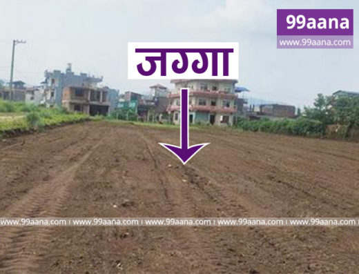 Land for sale at Narayanghat, Chitwan