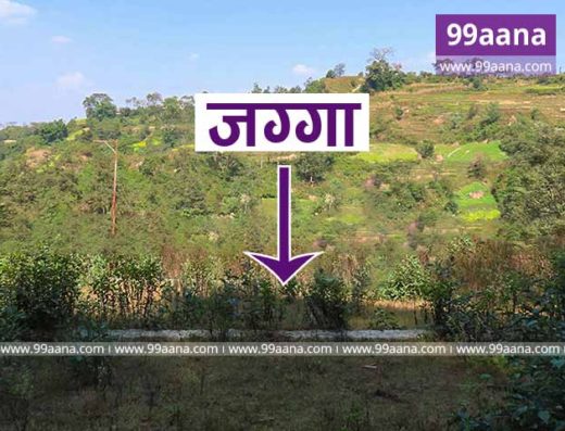 Land for sale at Chhampi, Lalitpur