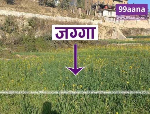 Land for sale at Sudal, Bhaktapur