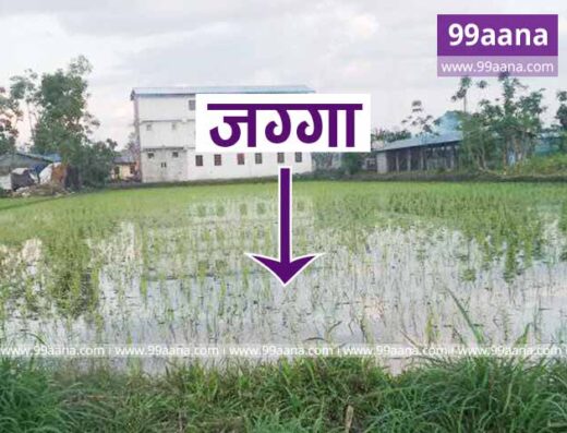 Land for Sale at Khairahani, Chitwan