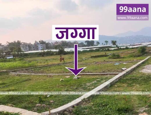 Land for sale at Machhegaun, Kathmandu